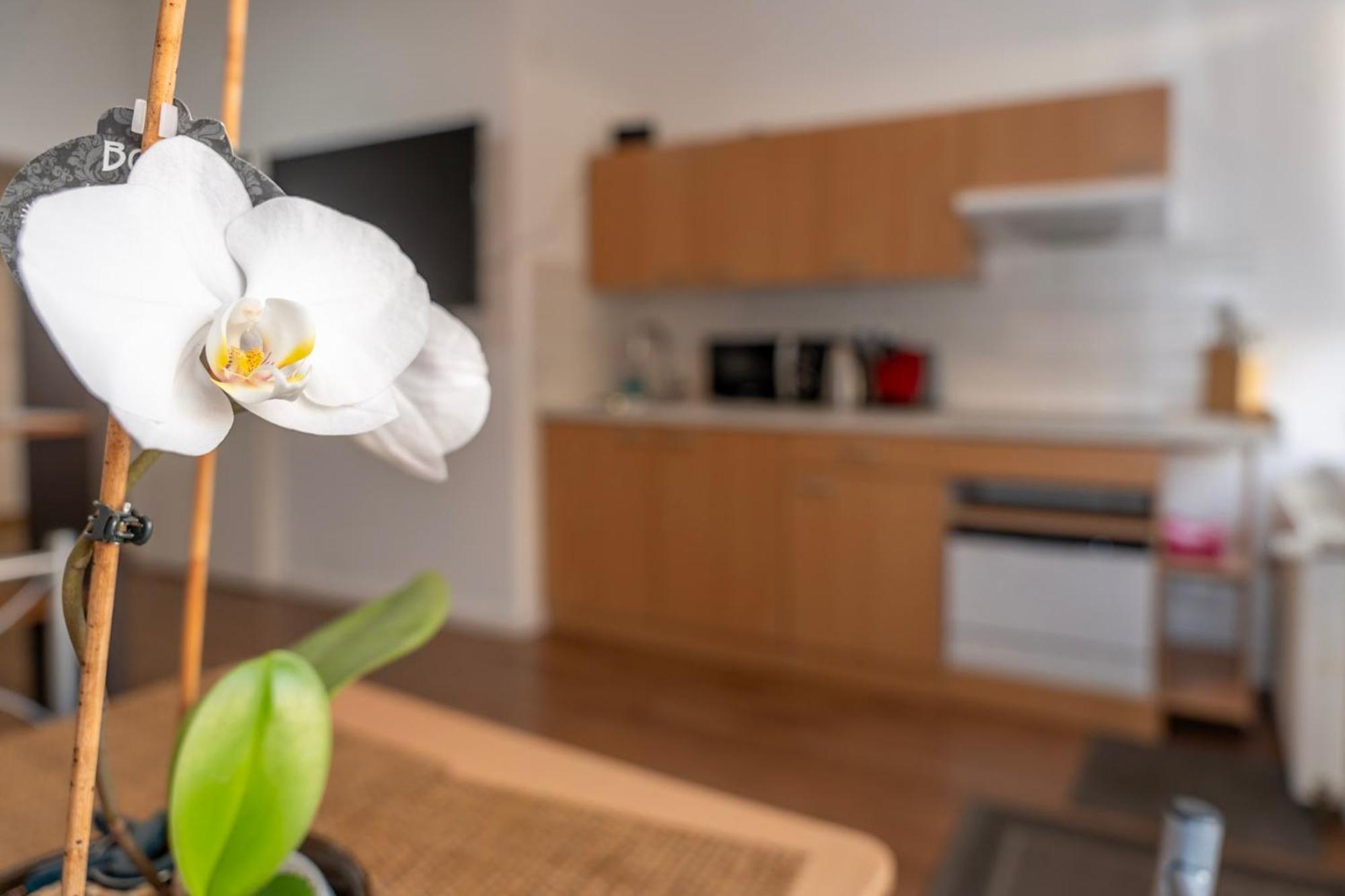 Cosy Nest - Apartment By Comfort Housing Falkensee Extérieur photo